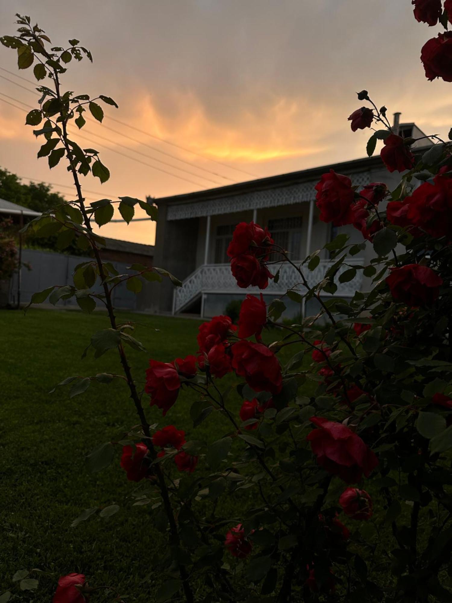 ,,Anna'S" Guesthouse K'vemo Alvani Buitenkant foto
